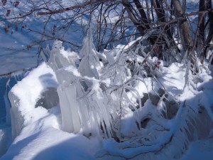 Glace Glace