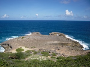 Pointe Tortue