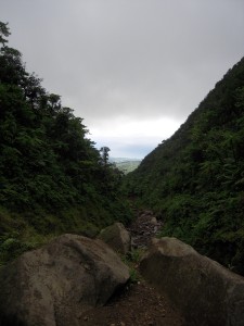 Vue depuis la première chute