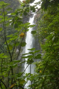 La deuxième chute