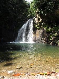 Saut de la lézarde