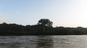 Voyage en Guyane, mars 2014.