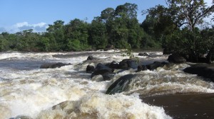 Le saut Lesse Dede