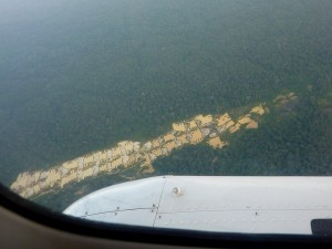 Site d'orpaillage en forêt