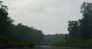 La rivière Kaw