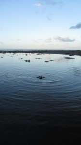 Premier contact avec la mer